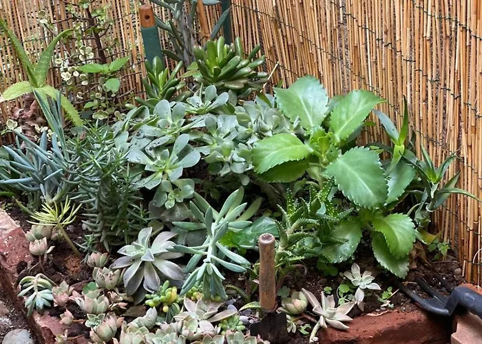 Le Taverne Apartment *